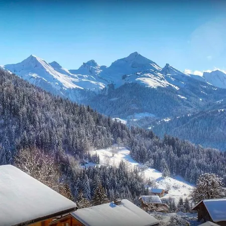 Chalet Chamallow - Les Congeres